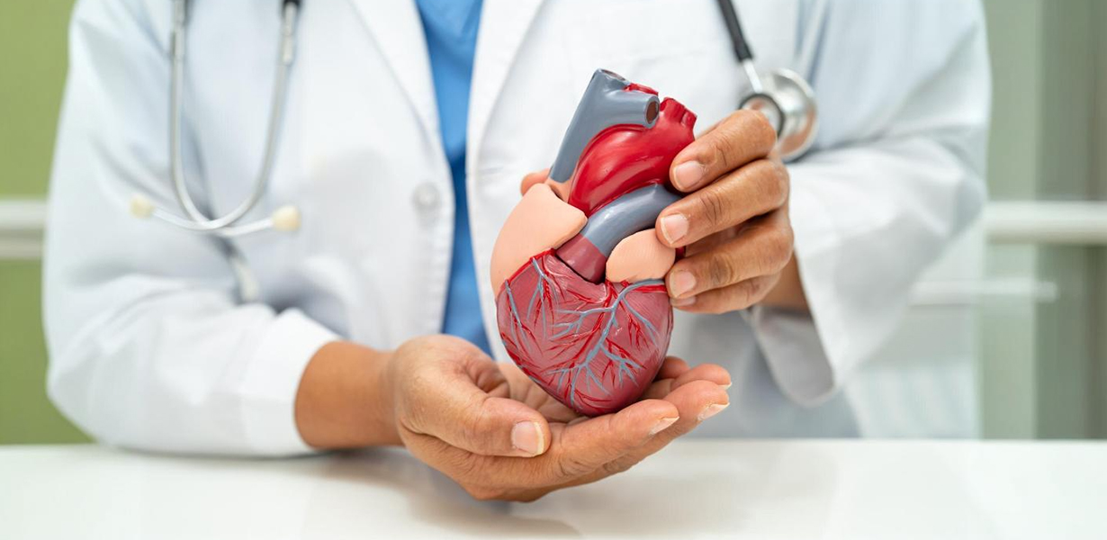 Guide to fostering and improving heart health
